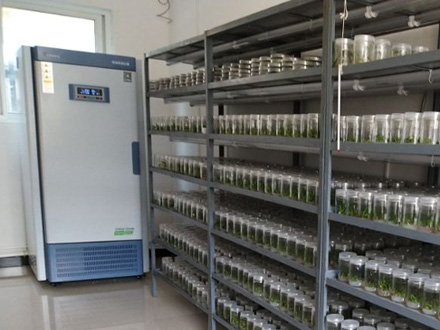 恒溫恒濕培養(yǎng)箱-更高、更佳的控制效果